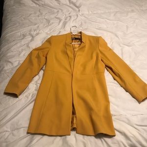 Zara coat